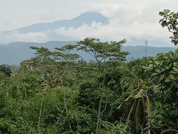Cerah, puncak gunung Slamet tampak dari atap dak masjid